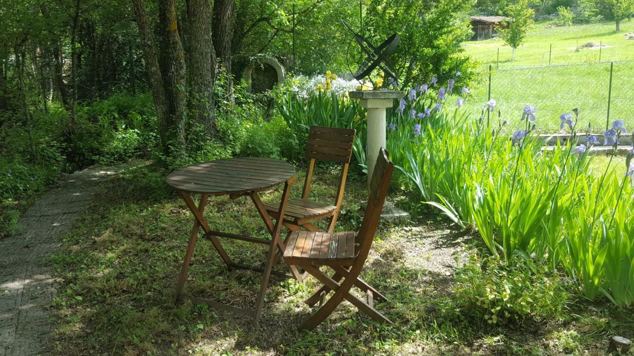 Maison Castellane Chambre D'Hotes B&B Zewnętrze zdjęcie